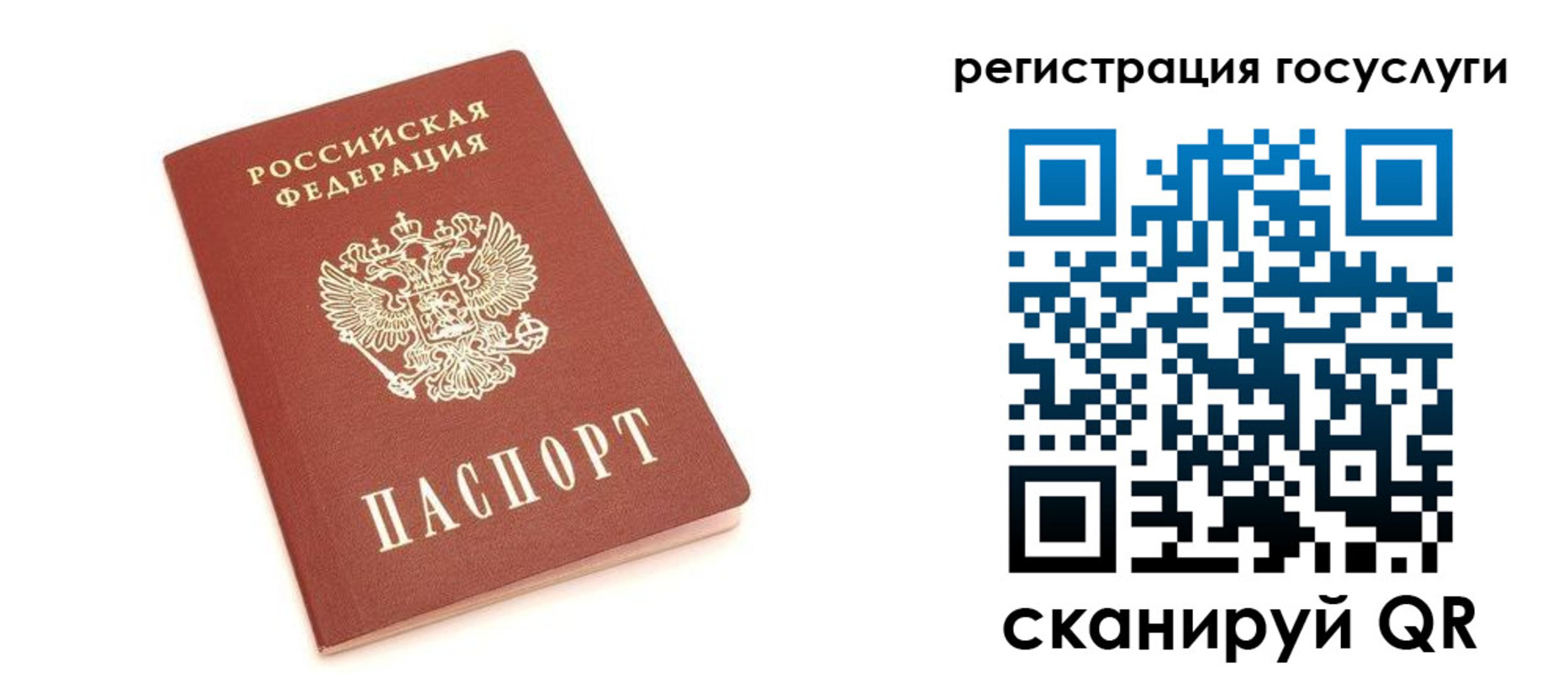 прописка 2025 в Заозёрске